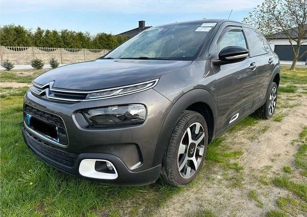 Citroen C4 Cactus cena 33900 przebieg: 59600, rok produkcji 2019 z Braniewo małe 56